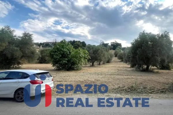 Immagine per Terreno commerciale in vendita a Montesilvano