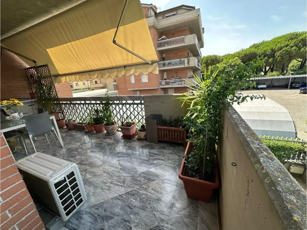 Immagine per Monolocale in vendita a Carrara via Felice Cavallotti
