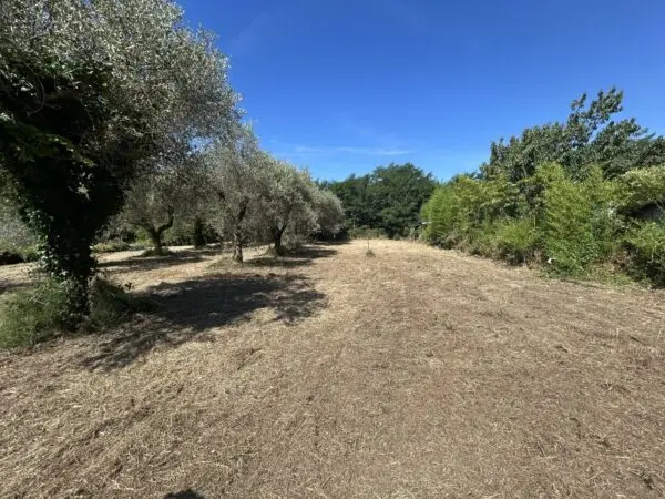 Immagine per Industriale in vendita a Luni via Isola 44