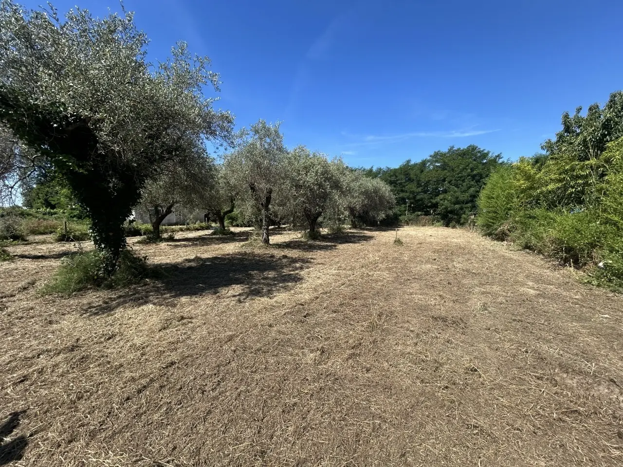 Immagine per Industriale in vendita a Luni via Isola 44