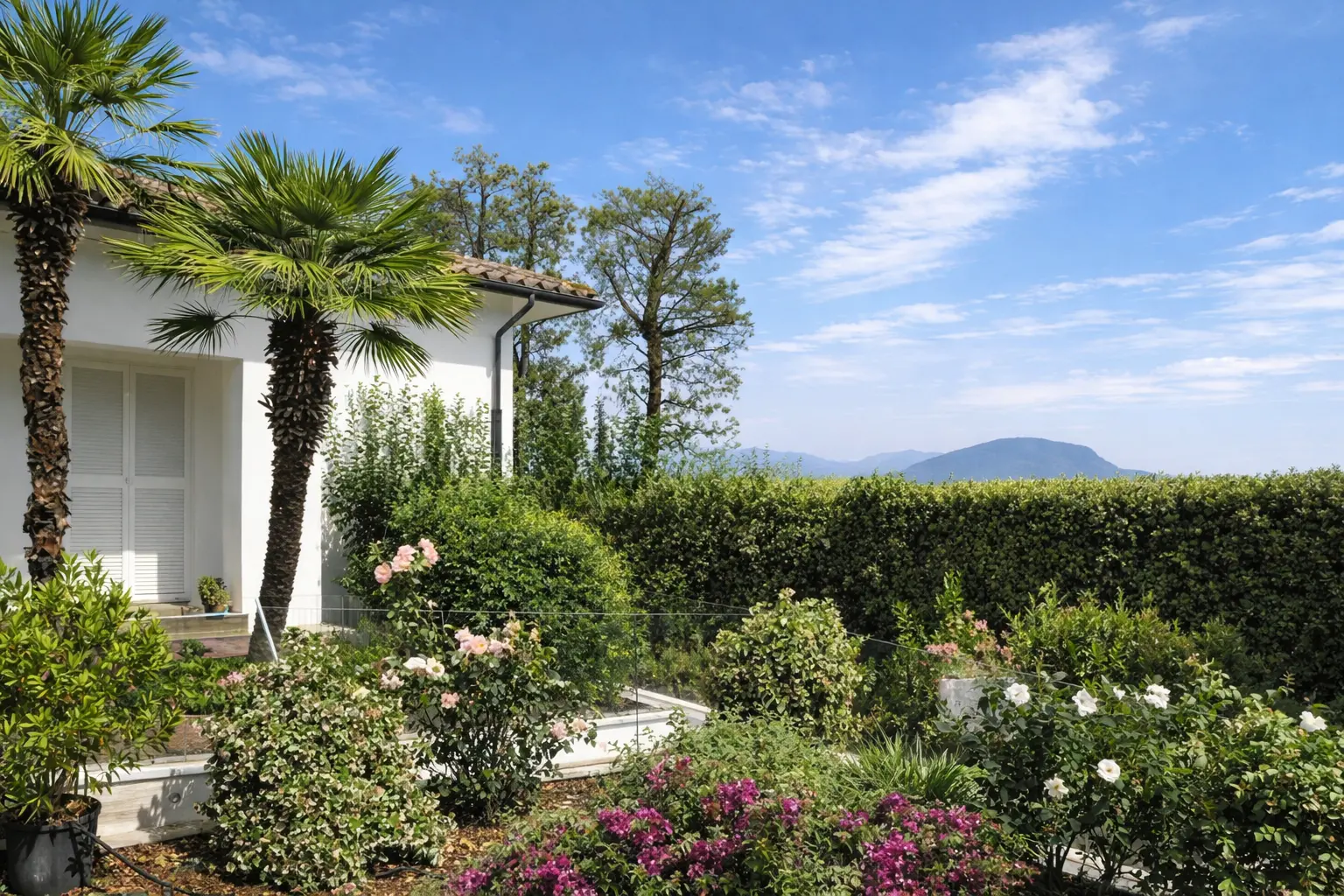 Immagine per Villa in vendita a Numana via Ischia