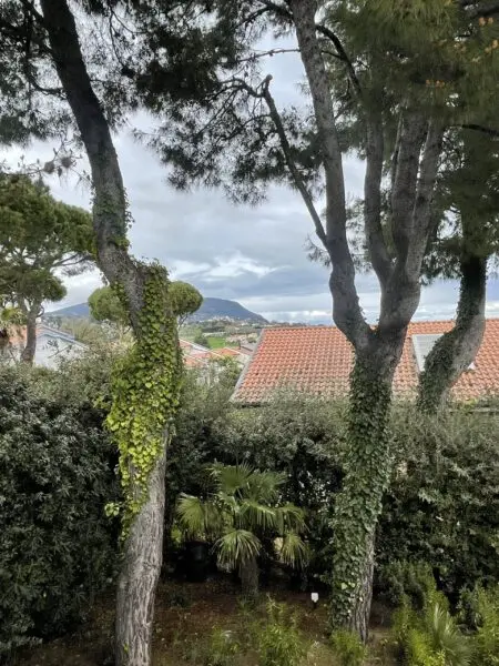 Villa via Ischia, Numana