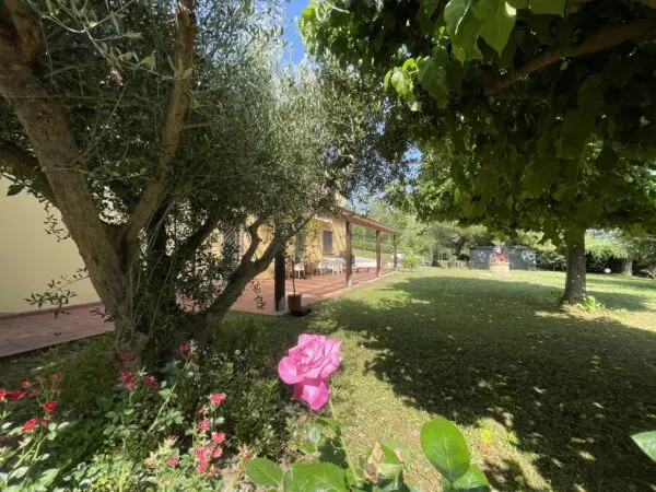 Rustico via Offagna, Offagna