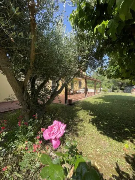 Rustico via Offagna, Offagna