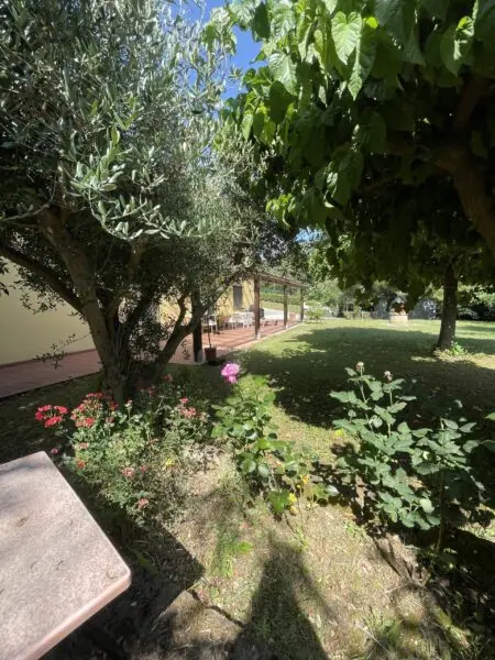 Rustico via Offagna, Offagna