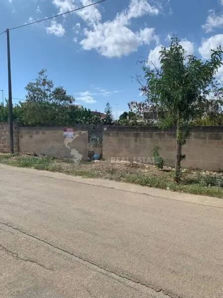 Bosco via Monsignor Paladini 4, Carmiano