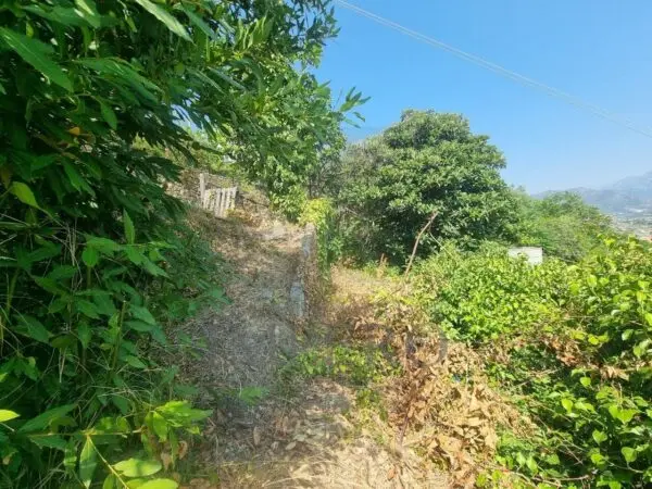 Vigneto via Daffra 20, Ventimiglia
