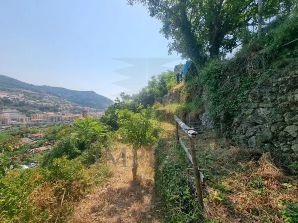 Vigneto via Daffra 20, Ventimiglia