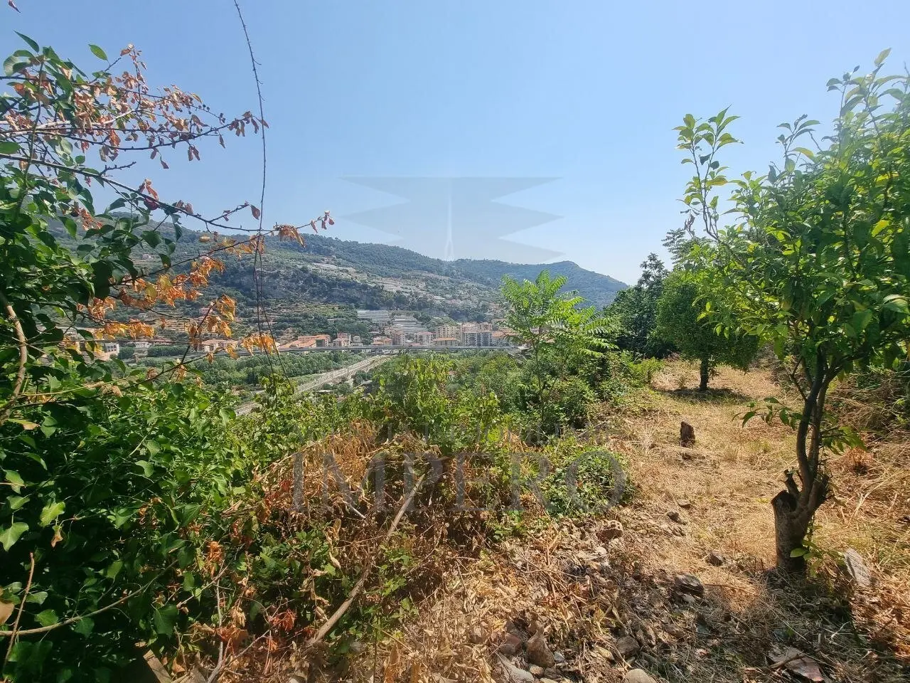 Immagine per Vigneto in vendita a Ventimiglia via Daffra 20