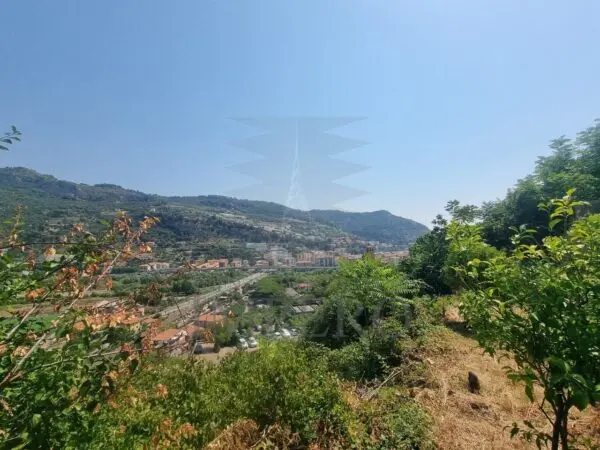 Vigneto via Daffra 20, Ventimiglia