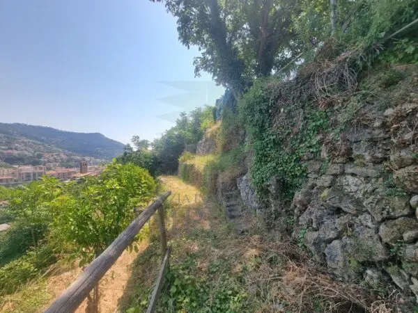 Vigneto via Daffra 20, Ventimiglia