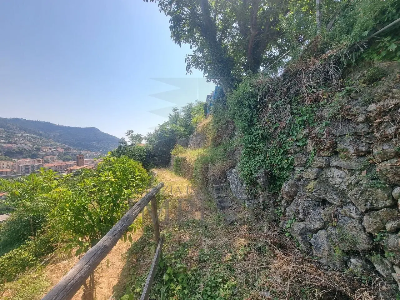 Immagine per Vigneto in vendita a Ventimiglia via Daffra 20