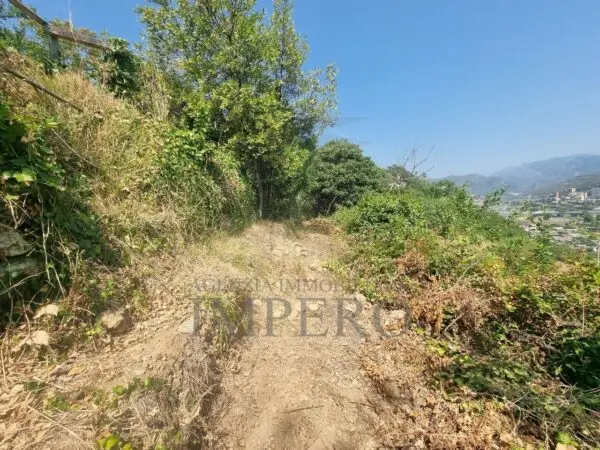 Vigneto via Daffra 20, Ventimiglia