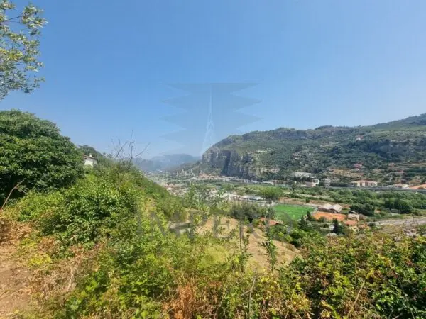 Vigneto via Daffra 20, Ventimiglia