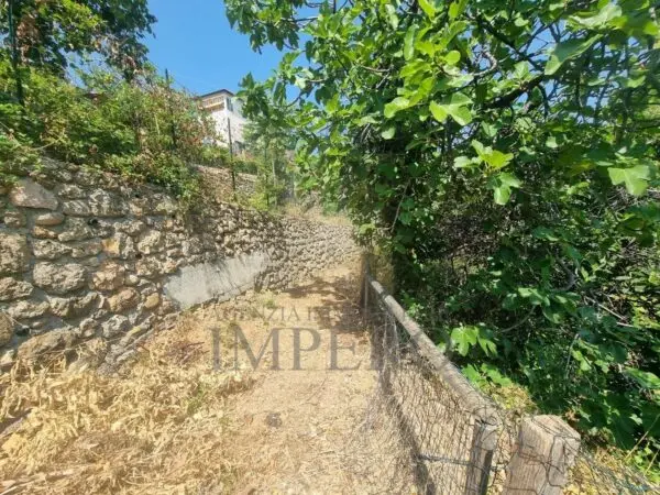 Vigneto via Daffra 20, Ventimiglia