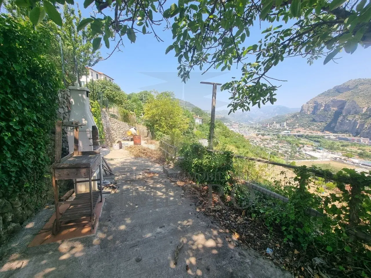 Immagine per Vigneto in vendita a Ventimiglia via Daffra 20