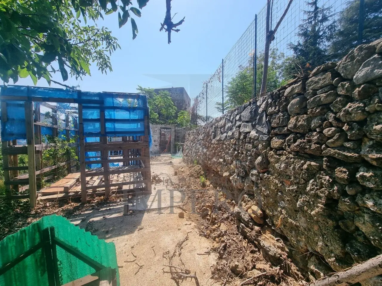 Immagine per Vigneto in vendita a Ventimiglia via Daffra 20