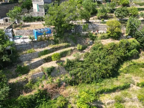 Vigneto via Daffra 20, Ventimiglia