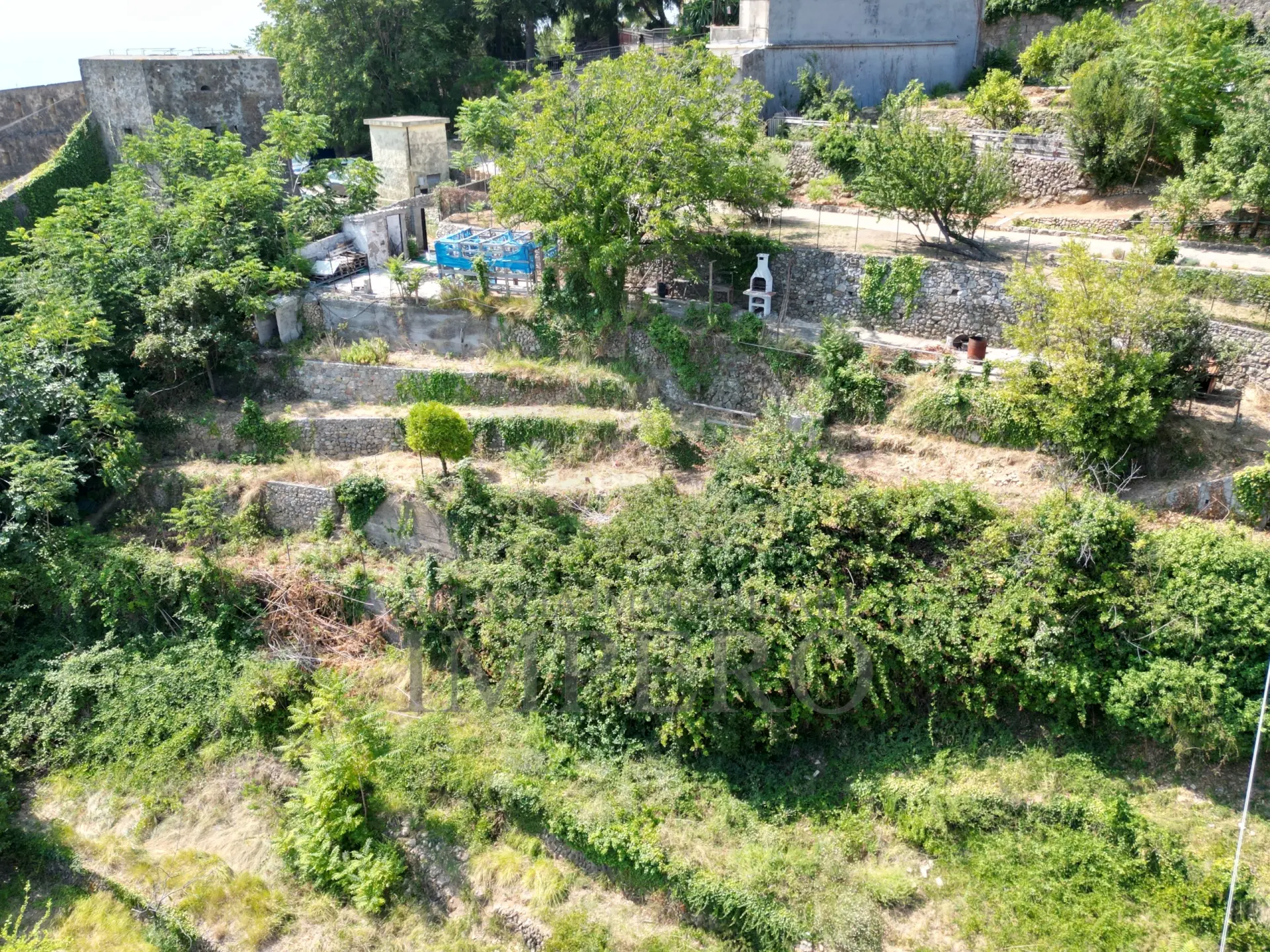 Immagine per Vigneto in vendita a Ventimiglia via Daffra 20