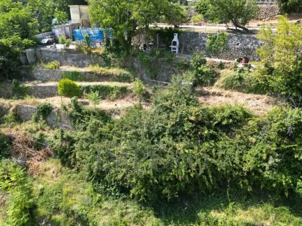 Vigneto via Daffra 20, Ventimiglia