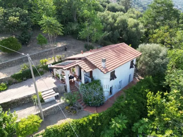 Villa Trifamiliare via Daffra 16, Ventimiglia