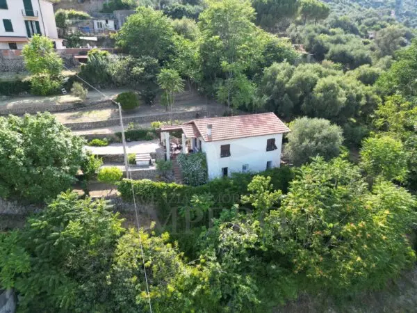 Villa Trifamiliare via Daffra 16, Ventimiglia