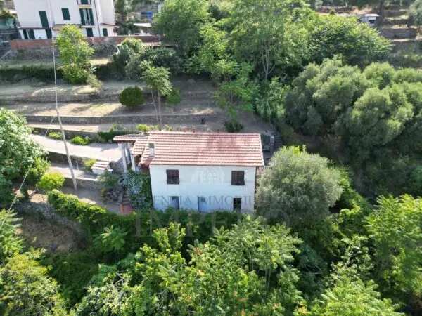Villa Trifamiliare via Daffra 16, Ventimiglia