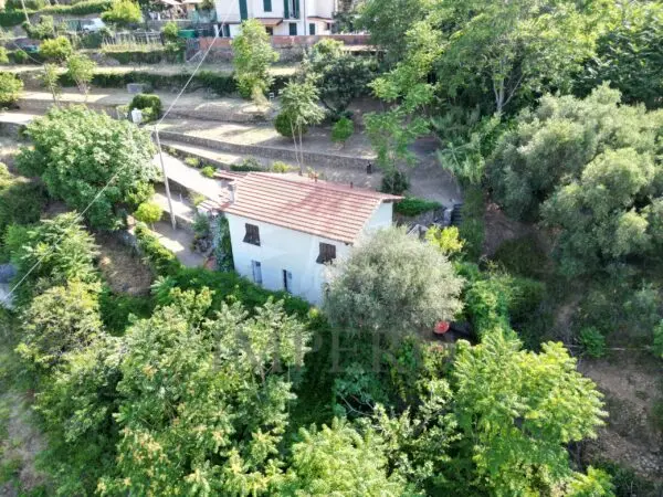 Villa Trifamiliare via Daffra 16, Ventimiglia