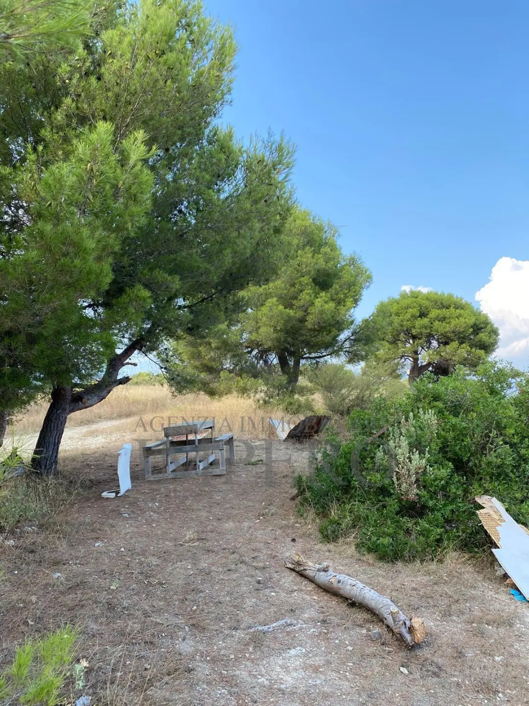 Immagine per Terreno in vendita a Ventimiglia via Alla Stazione 40