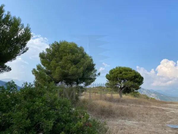 Terreno via Alla Stazione 40, Ventimiglia
