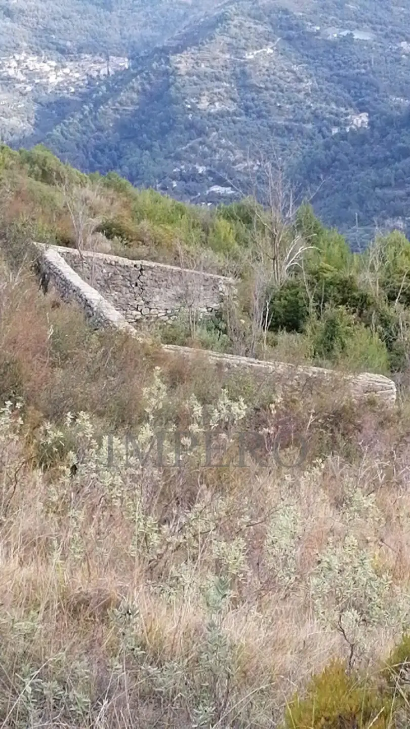 Immagine per Terreno in vendita a Ventimiglia via Alla Stazione 40