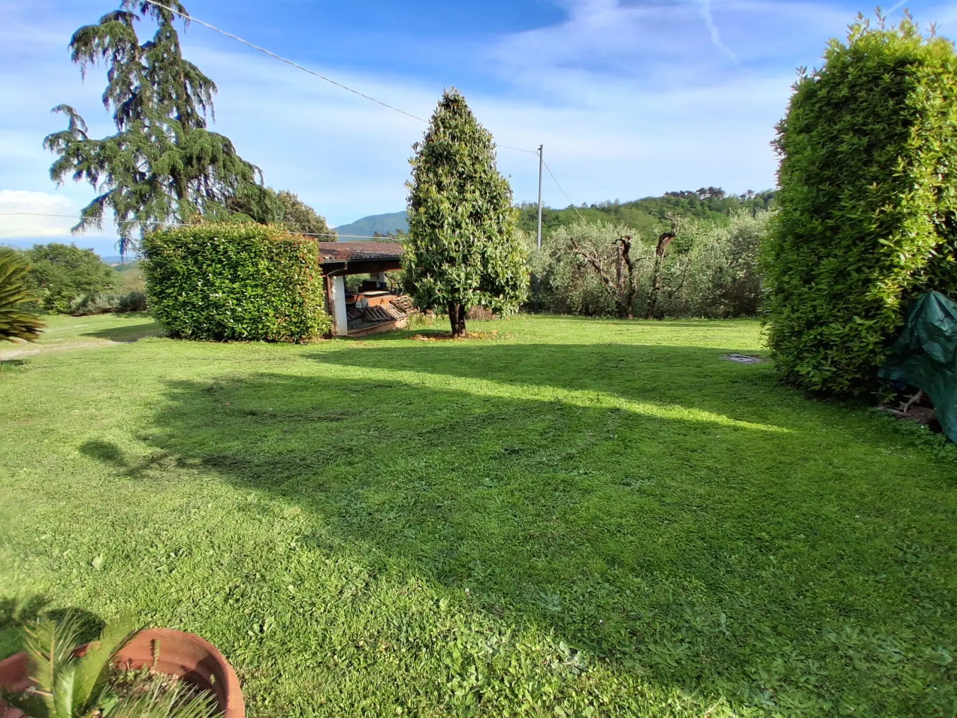 Immagine per Villa in vendita a Lucca via Vecchia I