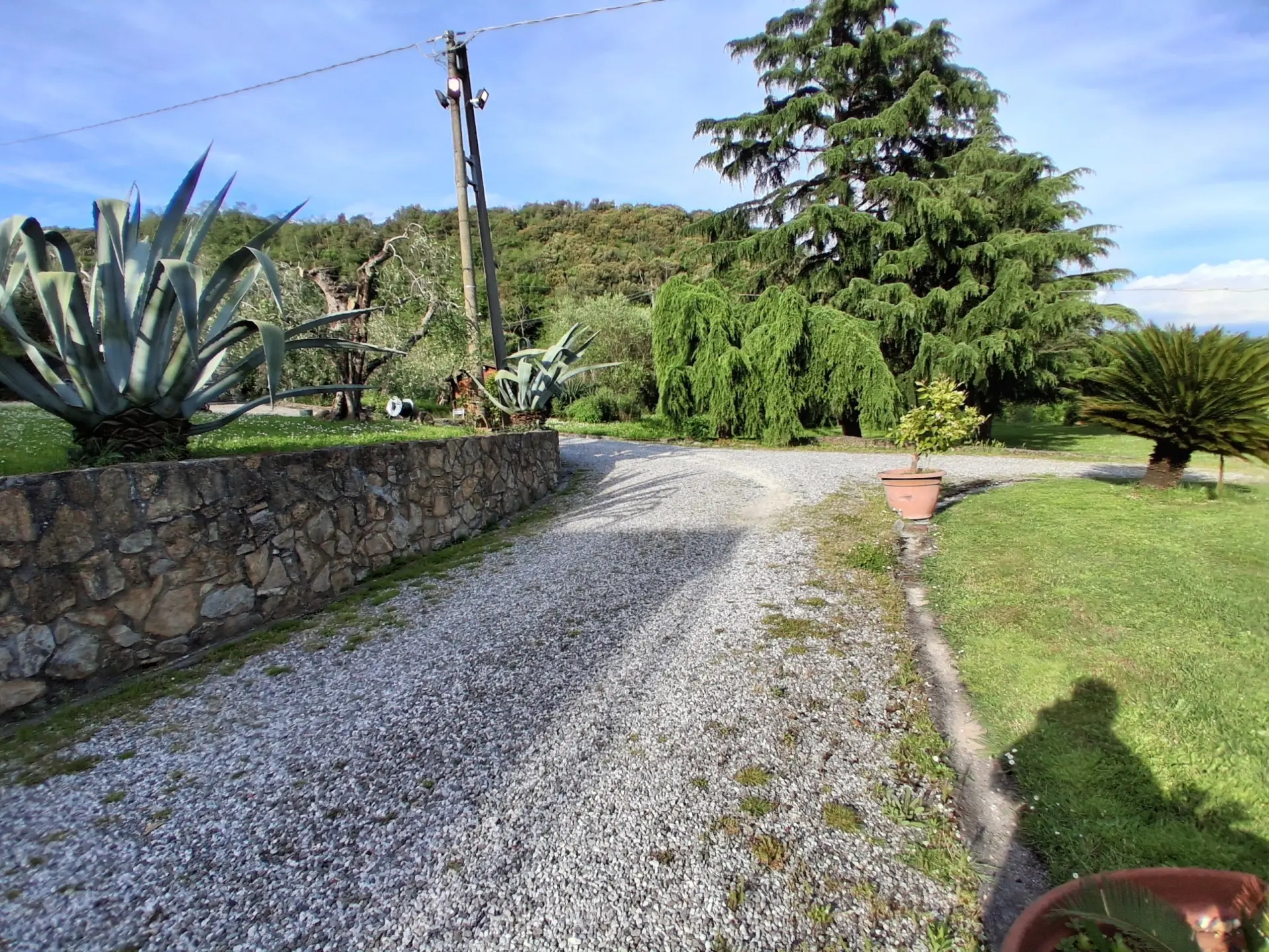 Immagine per Villa in vendita a Lucca via Vecchia I