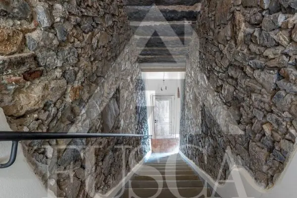 Immagine per Rustico in vendita a Lucca via Sarzanese 3482