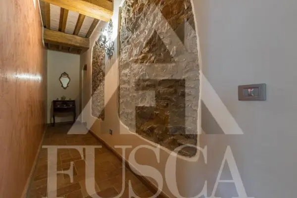 Immagine per Rustico in vendita a Lucca via Sarzanese 3482