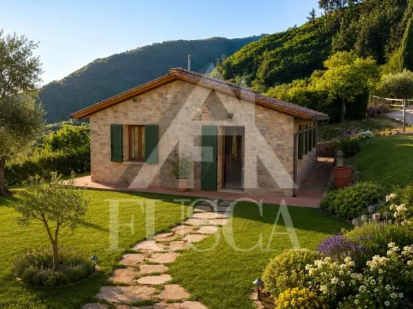 Immagine per Rustico in vendita a Capannori via Di Matraia