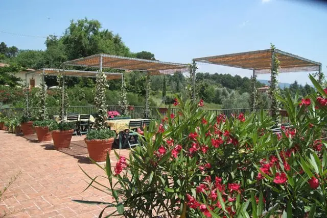 Immagine per Affittacamere in affitto a Capannori via Dei Pieroni