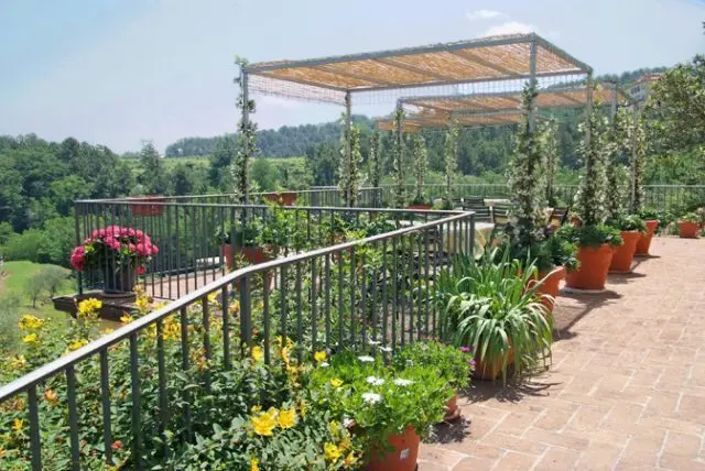Immagine per Affittacamere in affitto a Capannori via Dei Pieroni