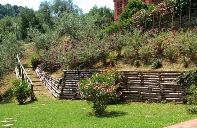 Immagine per Affittacamere in affitto a Capannori via Dei Pieroni