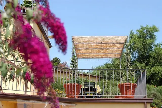 Immagine per Affittacamere in affitto a Capannori via Dei Pieroni