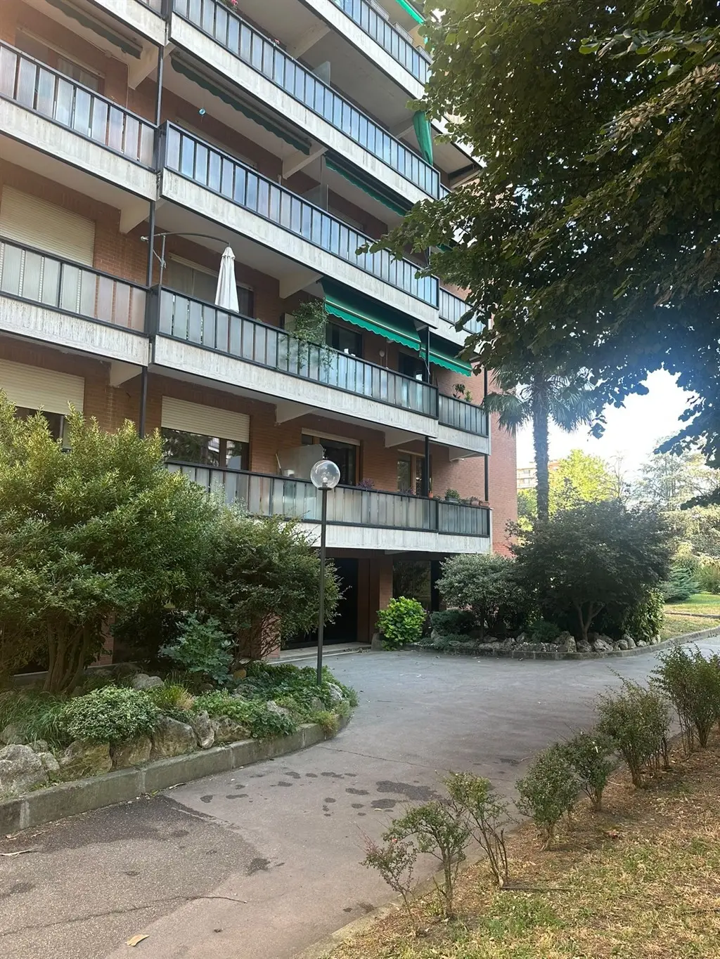 Immagine per Appartamento in affitto a Torino via Cimabue