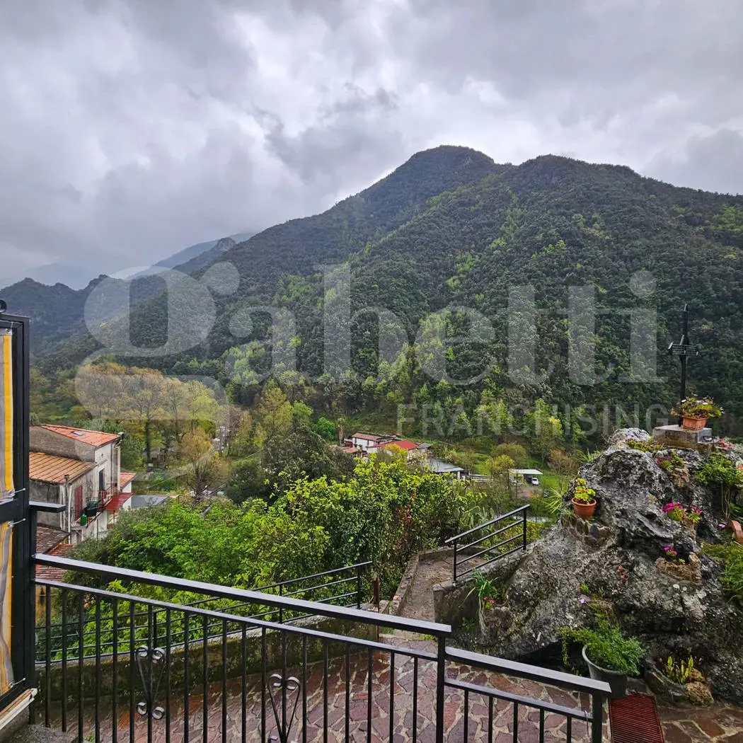 Immagine per Appartamento in vendita a Orsomarso via Santa Croce 65