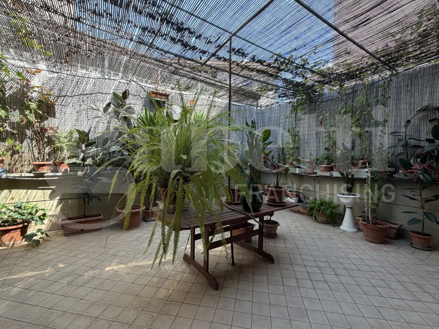 Immagine per Villa in vendita a Cerignola via Candela