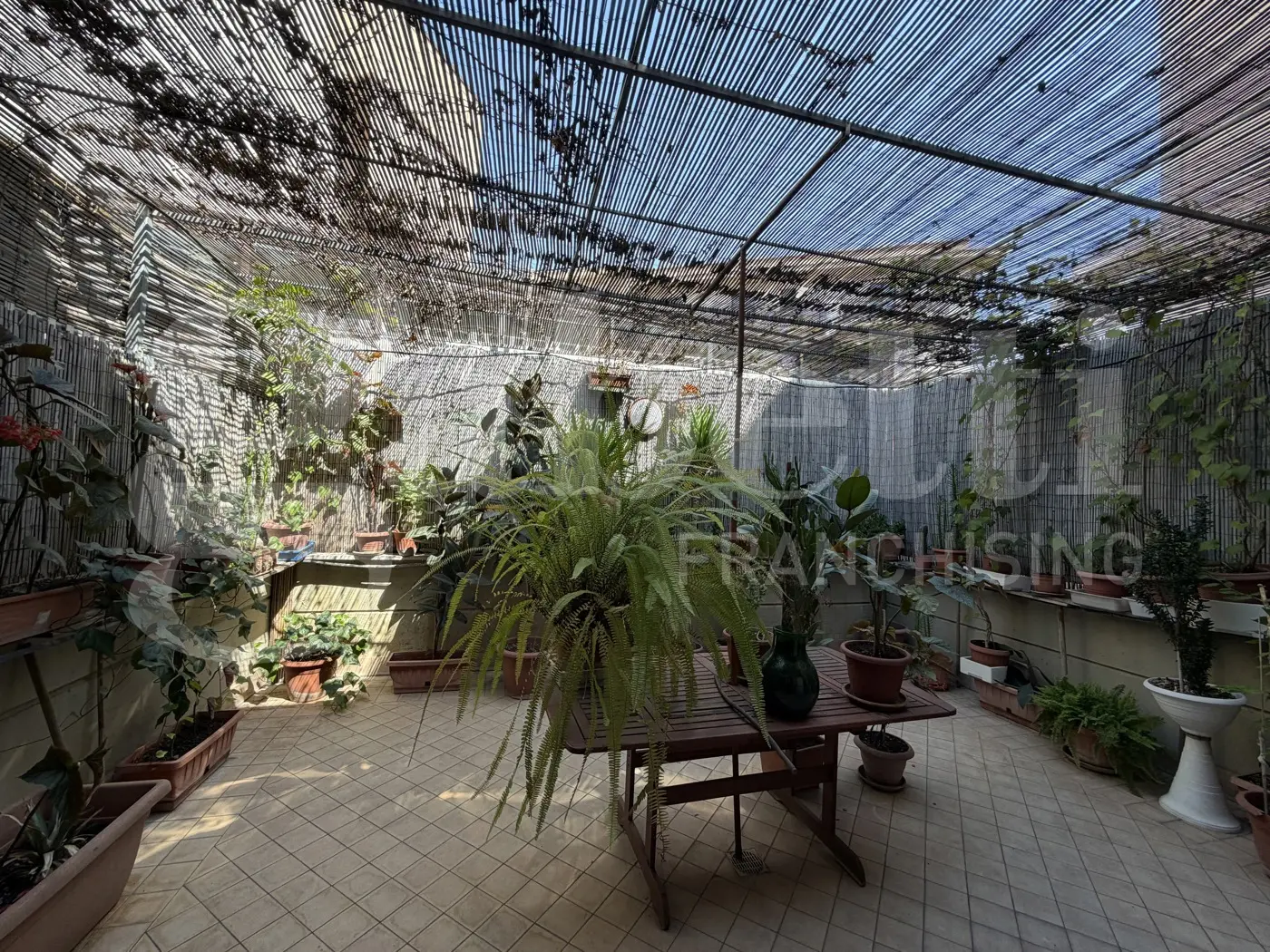 Immagine per Villa in vendita a Cerignola via Candela