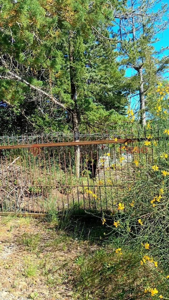 Immagine per Terreno Agricolo in vendita a Arezzo