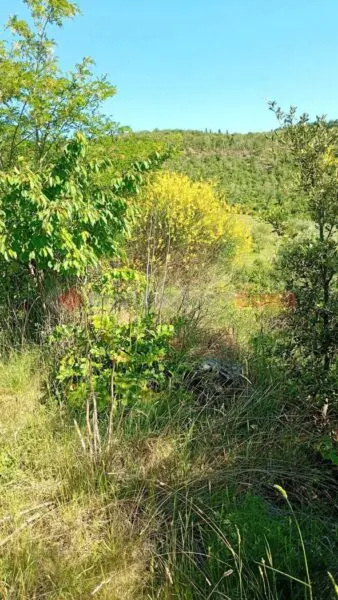 Terreno Agricolo Arezzo