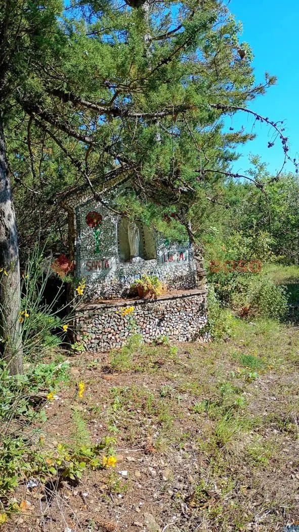 Immagine per Terreno Agricolo in vendita a Arezzo