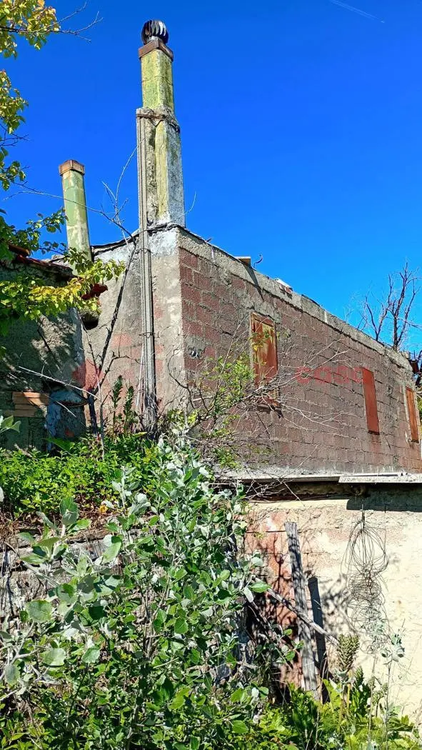 Immagine per Terreno Agricolo in vendita a Arezzo
