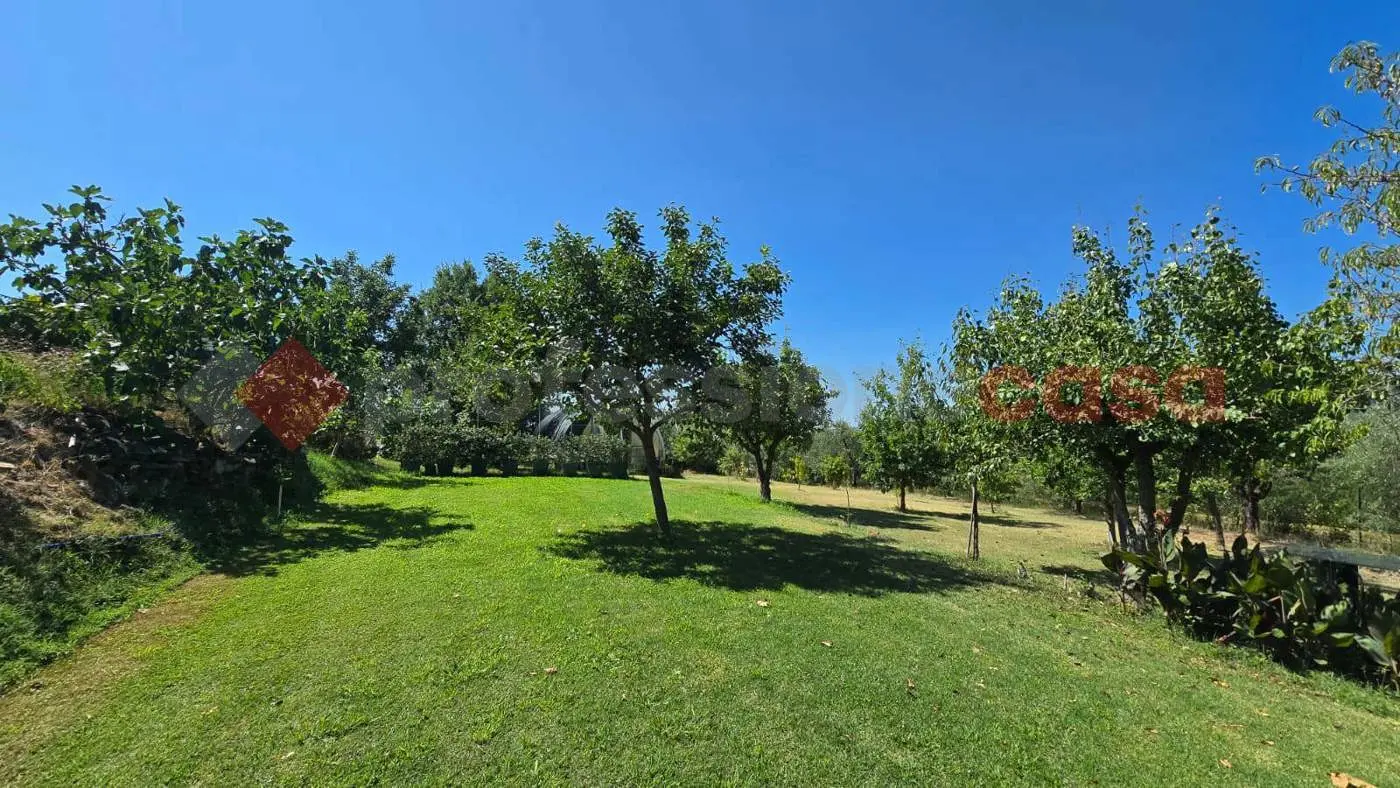Immagine per Appartamento in vendita a Arezzo