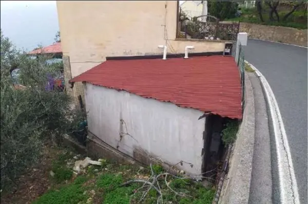 Villa 25, Cipressa